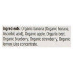 Go Gourmet Squoosh Bio Bleuetrave Collation 100% Fruits et Légumes, Emballage de 4, 90 g