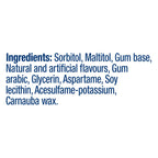 Gomme à mâcher à la menthe polaire Wrigleys Excel  emb. de 12