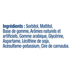 Gomme à mâcher à la menthe polaire Wrigleys Excel  emb. de 12
