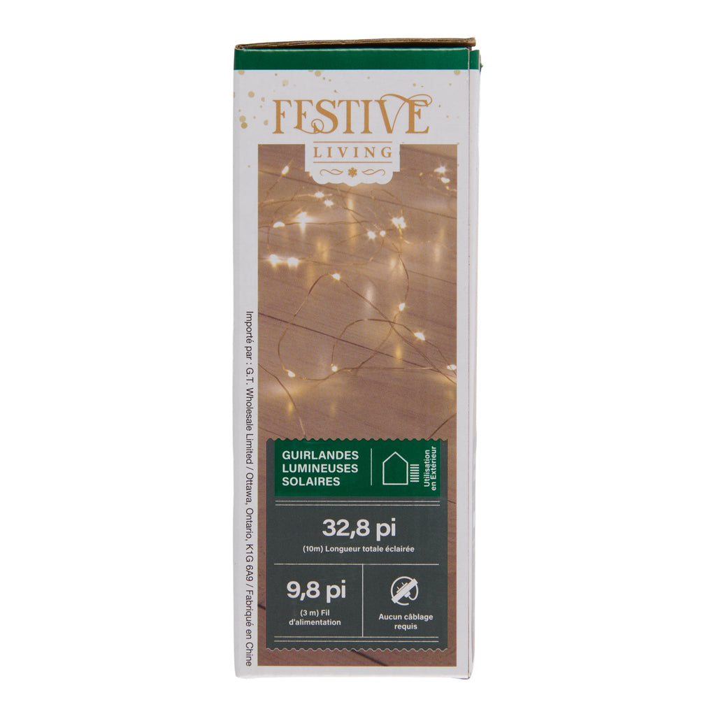 Guirlande lumineuse de 100 lumières festive à DEL à l'énergie solaire, blanc chaud – 10 m
