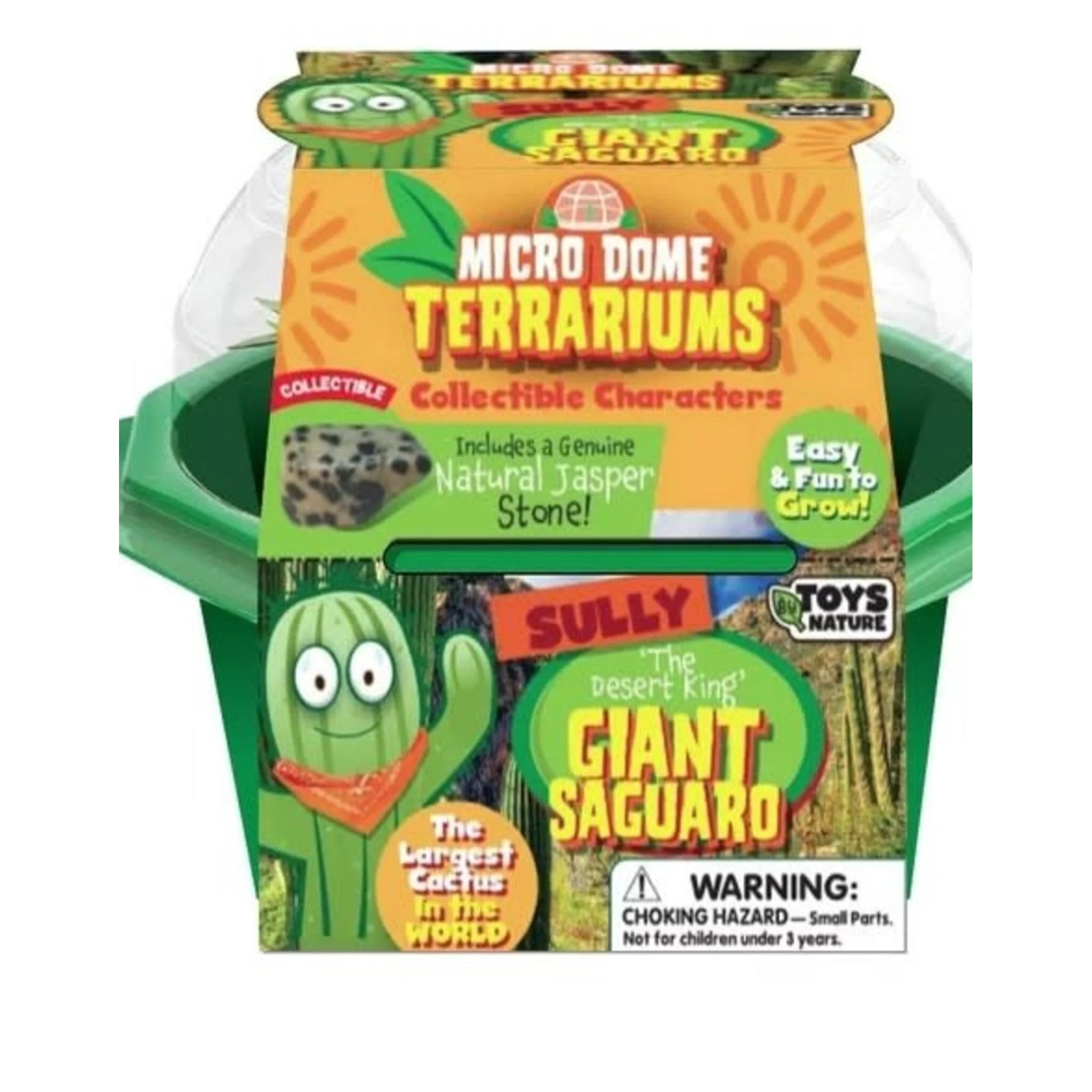 Terrarium en forme de microdôme