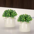 Fausse verdure réaliste dans un pot en céramique HomeStyles, 5,5 po x 7 po