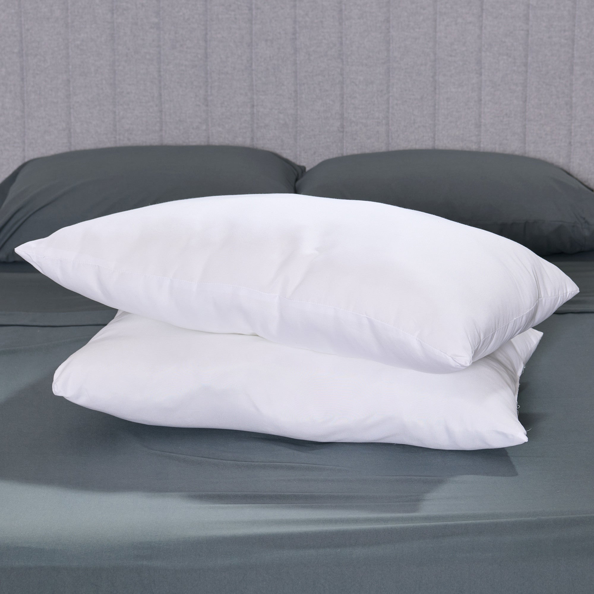 Pillows, 19-in x 27-in, 2 Pack