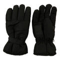 Men's Ski Gloves