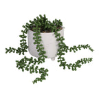 HomeStyles Greenery In Ceramic Pot, 4.5-in x 4.5-in x 5.5-in, Assorted