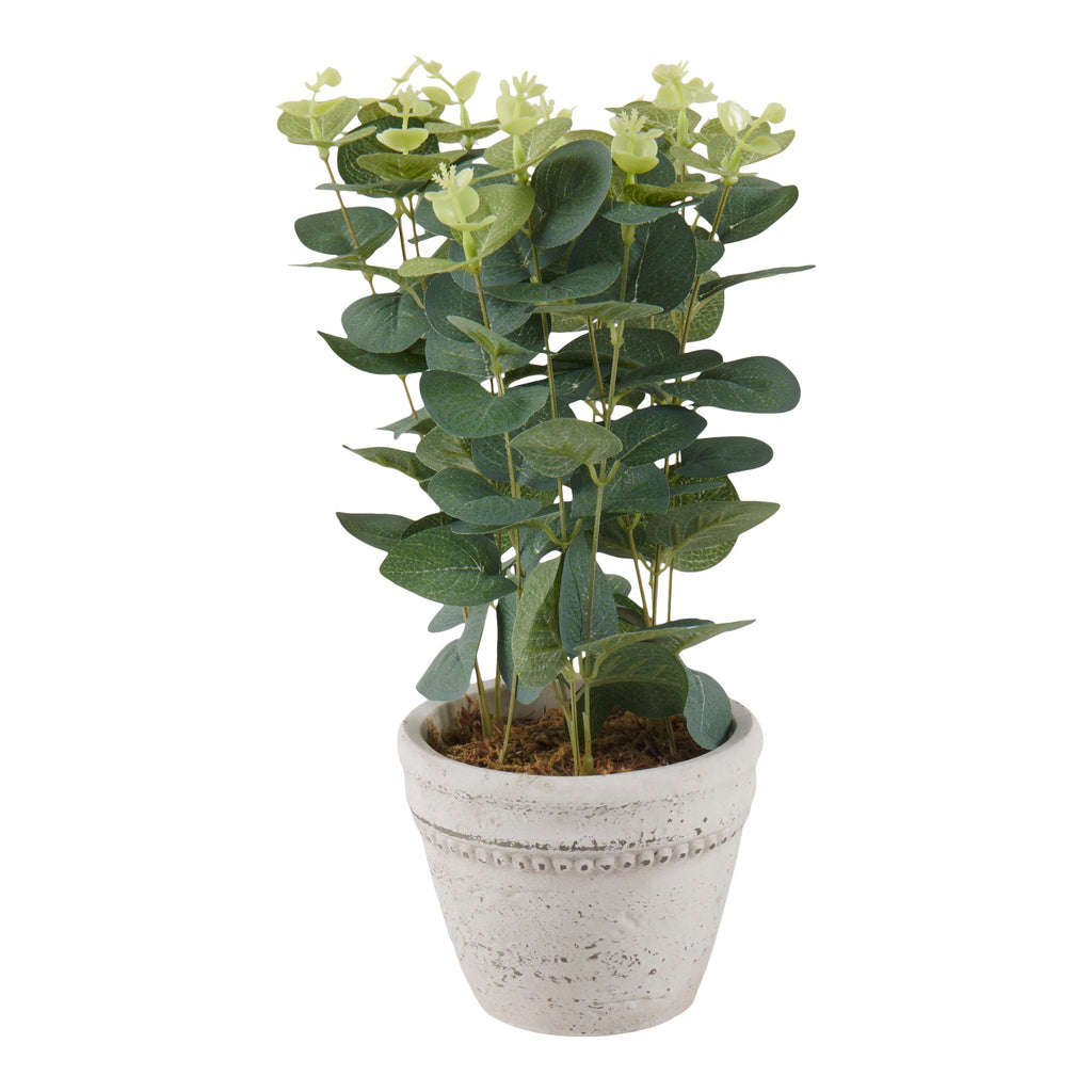 Eucalyptus/lavande en pot HomeStyles, 7 po x 13 po