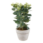 Eucalyptus/lavande en pot HomeStyles, 7 po x 13 po