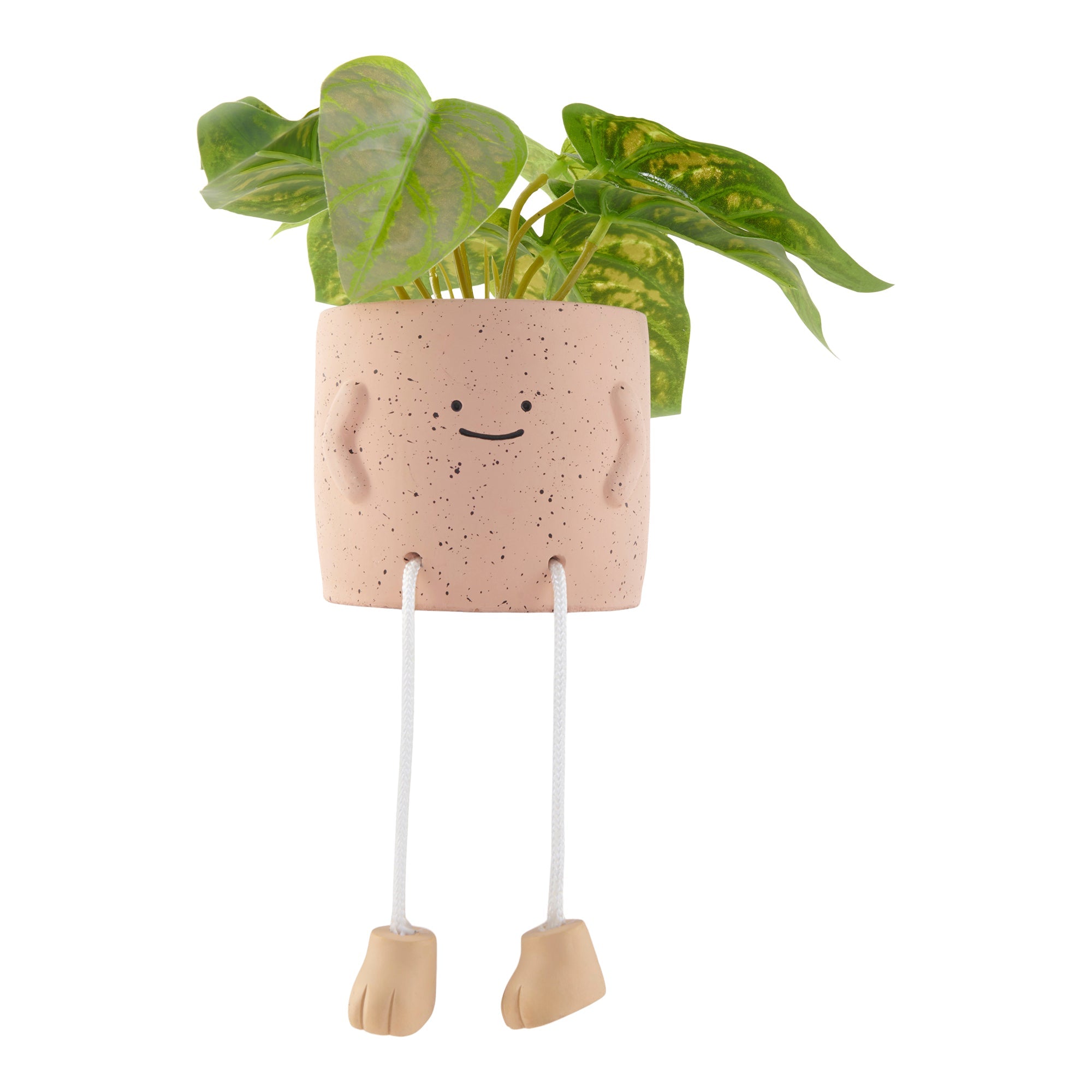 HomeStyles Novelty Artificial Plant, 6-in x 6.5-in.