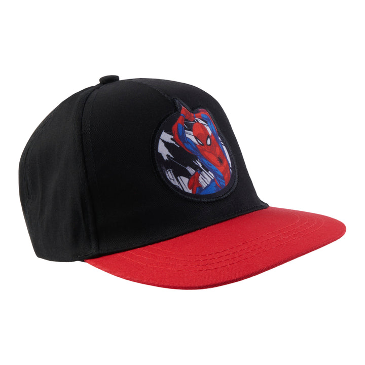 Boys' Licensed Spider-Man Printed Baseball Cap - Blue