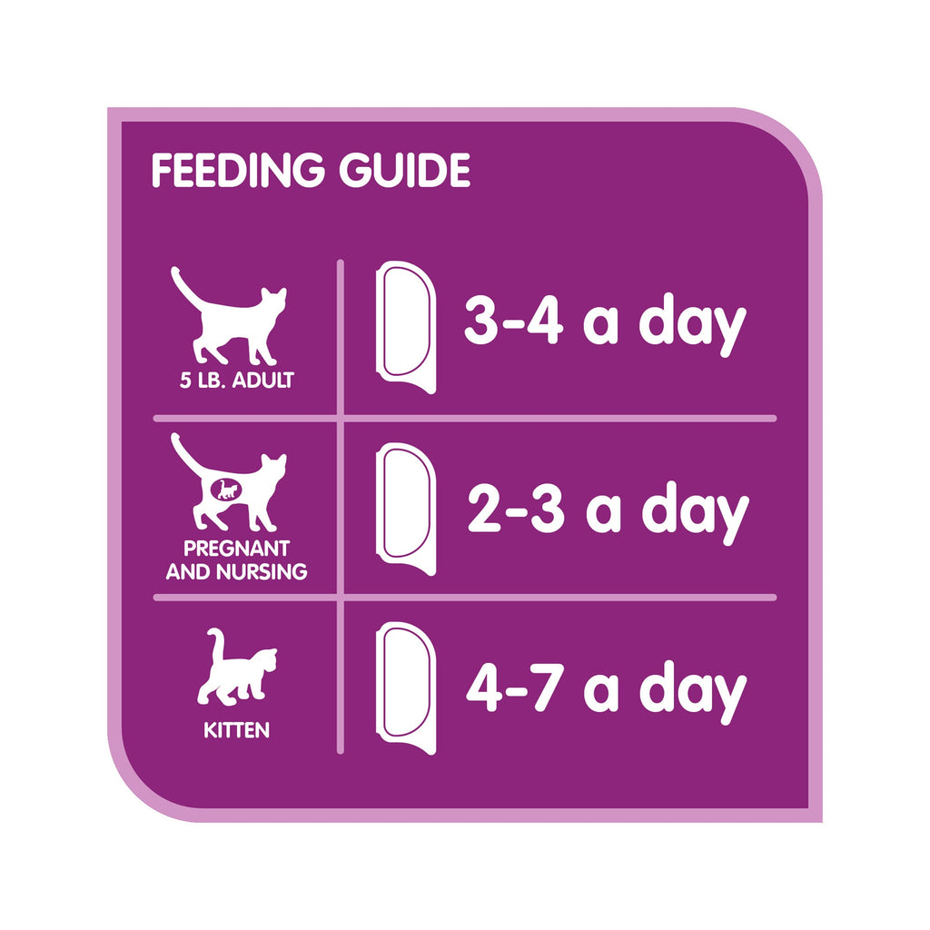 WHISKAS PERFECT PORTIONS Wet Cat Food Paté, Turkey, 75 g